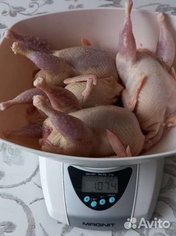 Мясо перепела