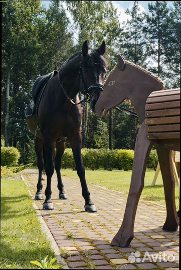 Игровая площадка. Декор для детей. Деревянная Лоша