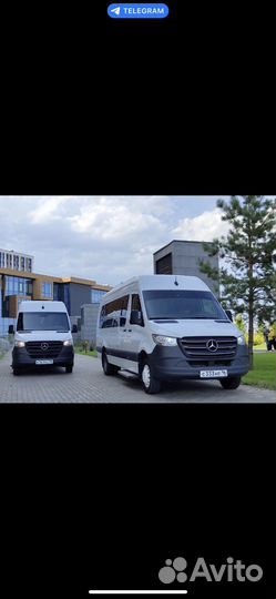 Арендда минивена с водителем