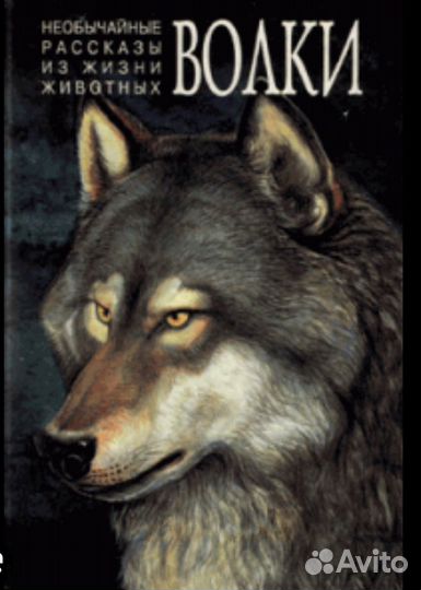 Необычайные рассказы из жизни животных