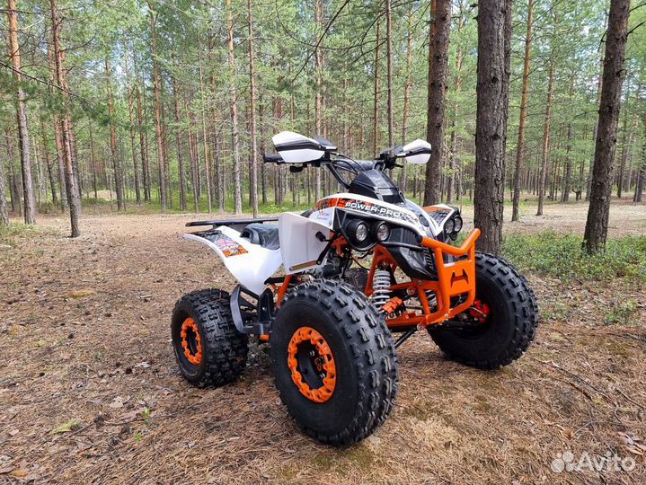 Квадроцикл promax spawn 180
