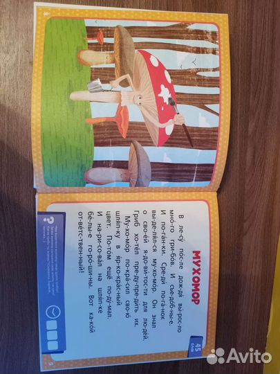 Оранжевая и синяя книги сказок