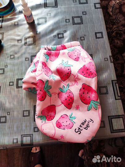 Одежда для маленьких собак