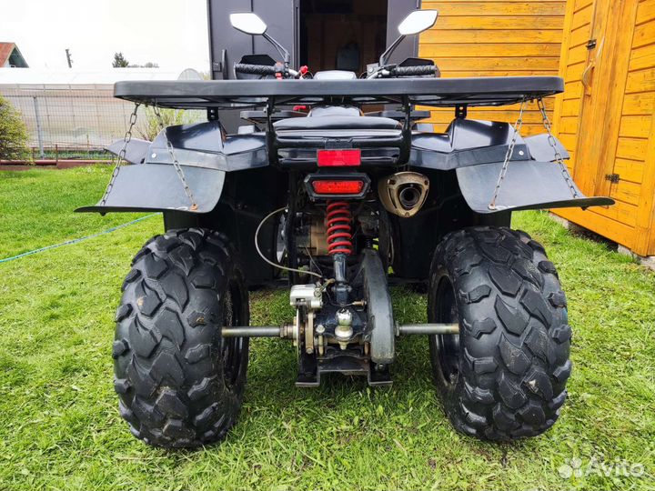 Avantis Hunter 200 new Luxe