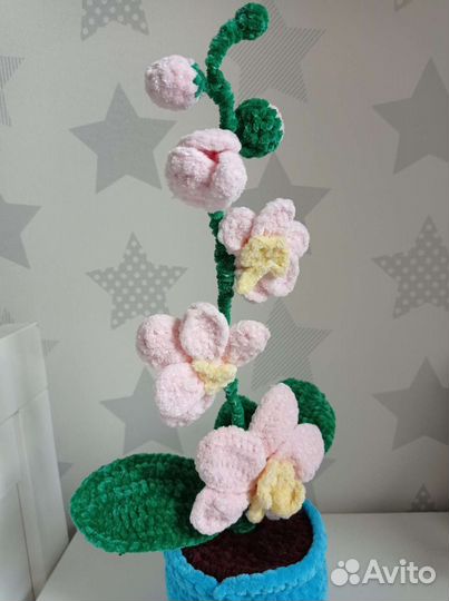 Вязаные цветы. Орхидея, фиалки, кактус