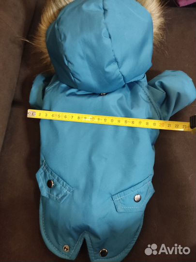 Одежда для собаки