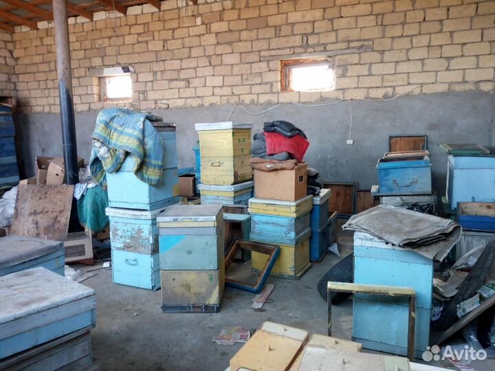 Улья дадан пчелы