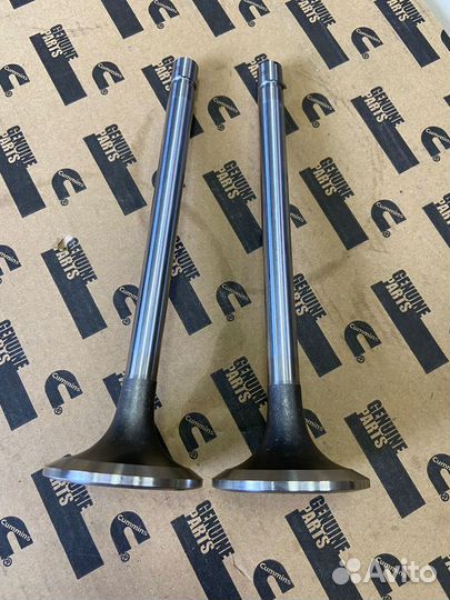 Клапан выпускной Cummins KTA50 KTA38 KTA19