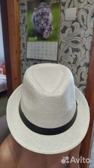 Шляпа мужская летняя