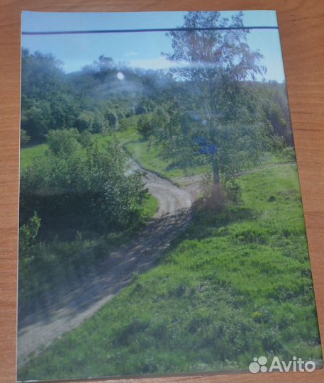 Культурфилософская мысль в России XX-начала XXI в