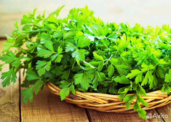 Щавель, петрушка и др. зелень