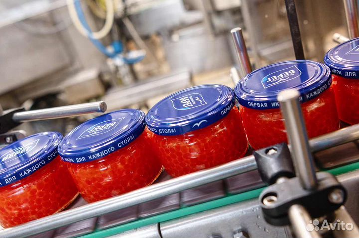 Обработчик рыбы