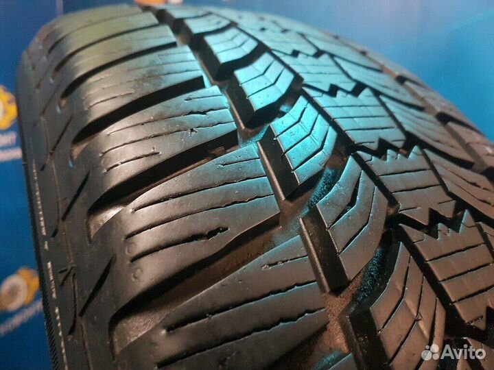 Sava Eskimo HP2 195/55 R15