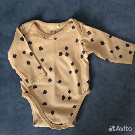 Боди