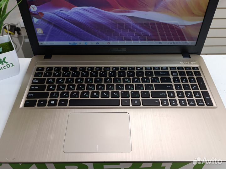 Ноутбук Asus intel N3700 лыс01