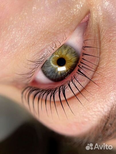 Обучение по ламинированию ресниц