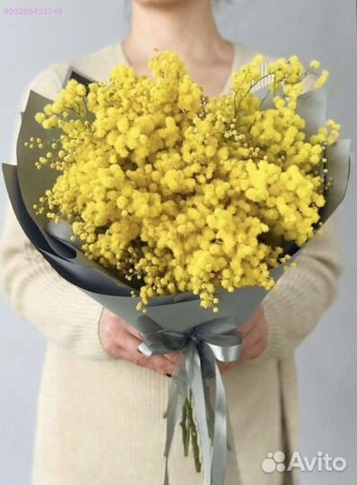 Букеты из мимозы (Арт.89825)