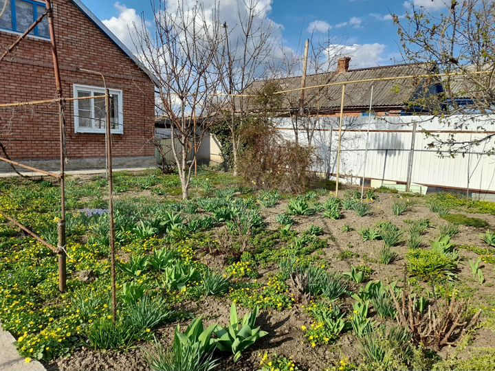 Дом 55 м² на участке 15 сот.