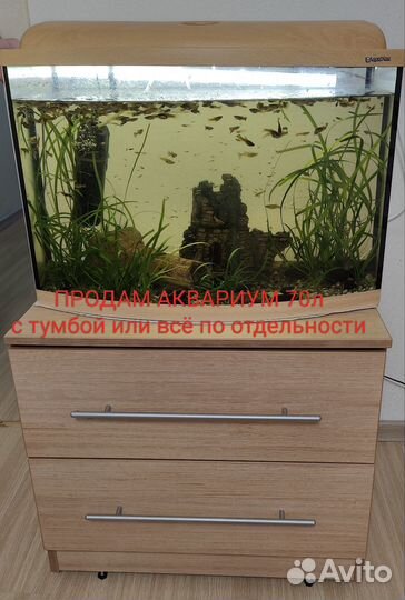 Аквариум с тумбой 70л