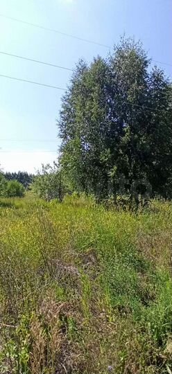 Участок 19 сот. (ИЖС)