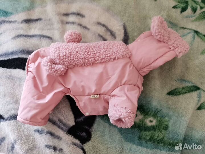 Курточка для кошки