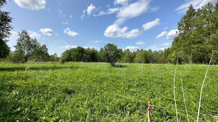 Участок 45 сот. (СНТ, ДНП)