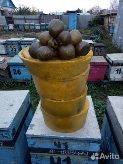 Воск-прополис-соты