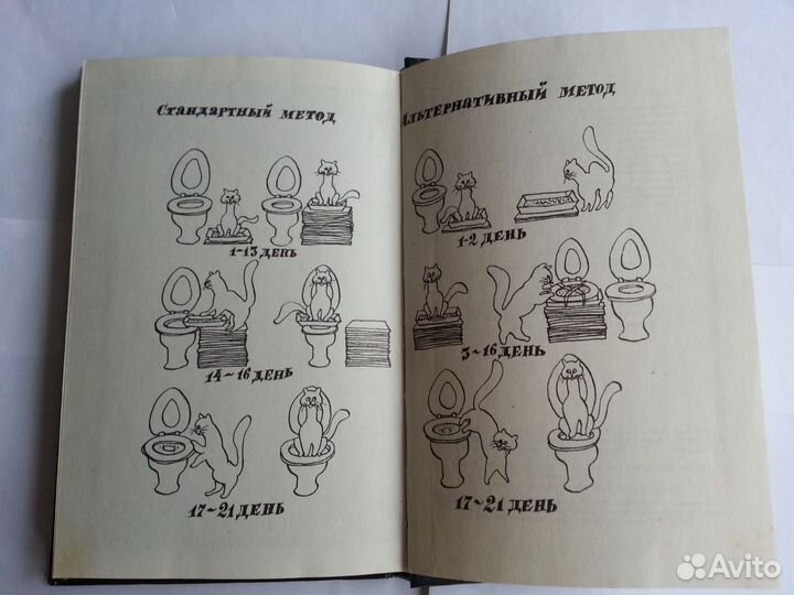 В. Я. Сквирский 