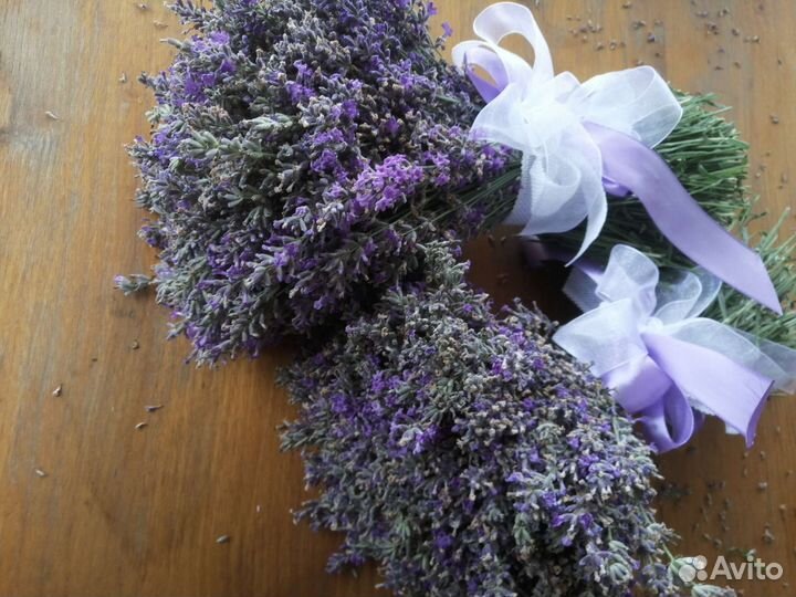 Лаванда букет