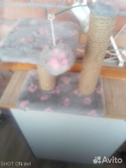 Когтеточка,переноска все почти новое