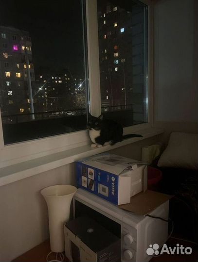 Пластиковые окна с установкой