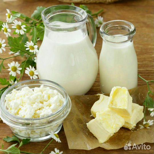 Молочная продукция