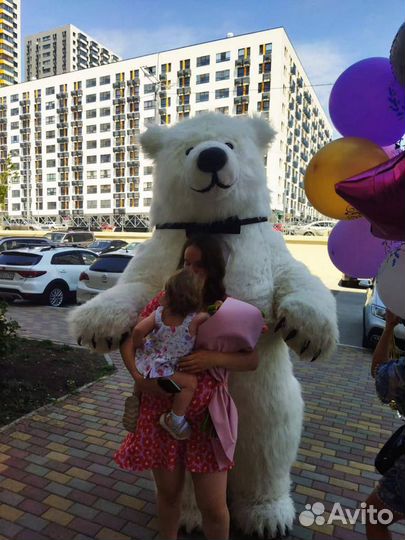 Поздравления от очаровательного мишки