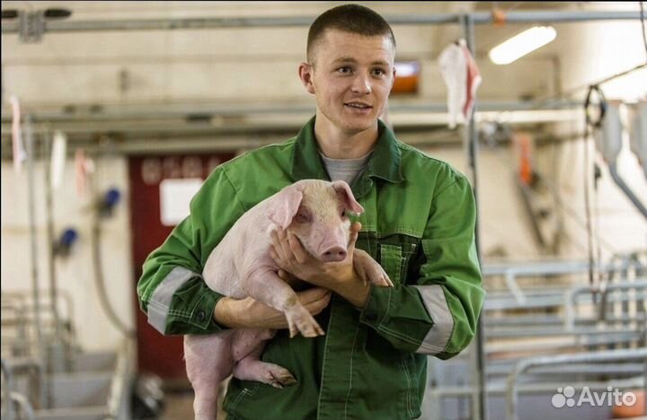 Работник на ферму
