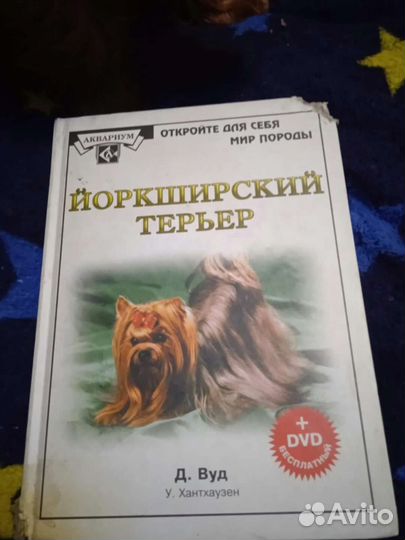 Иокширский терьер