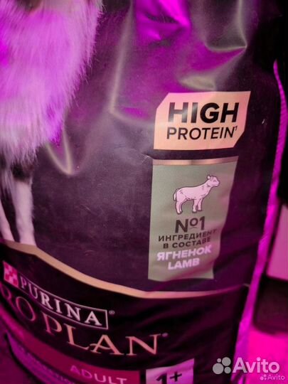 Корм для собак проплан