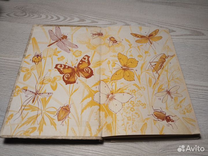 Биологические экскурсии, Измайлов, 1983