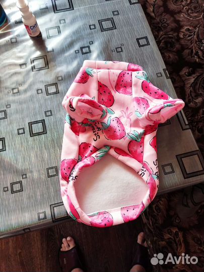 Одежда для маленьких собак