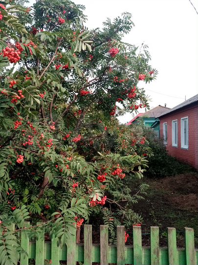 Дом 49 м² на участке 4 сот.