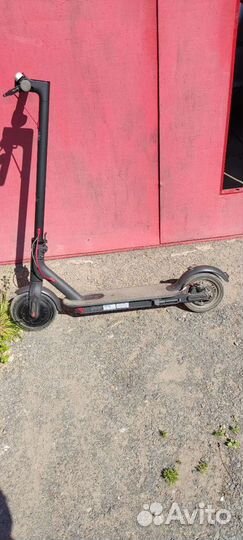 Электросамокат xiaomi m365 оригинал