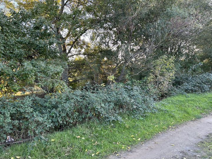 Участок 20 сот. (ИЖС)