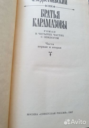Братья Карамазовы 1987г