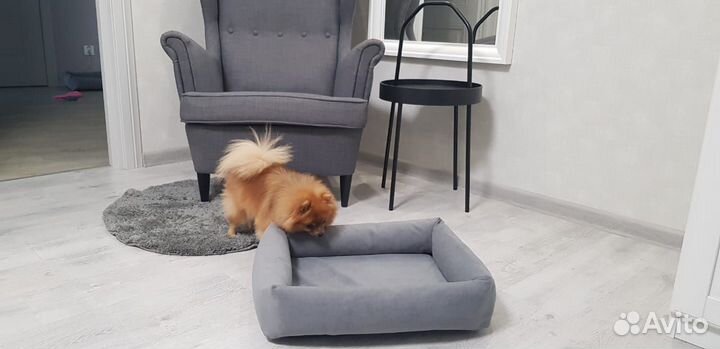 Лежанка для собак мелких пород и кошсъёмным чехлом