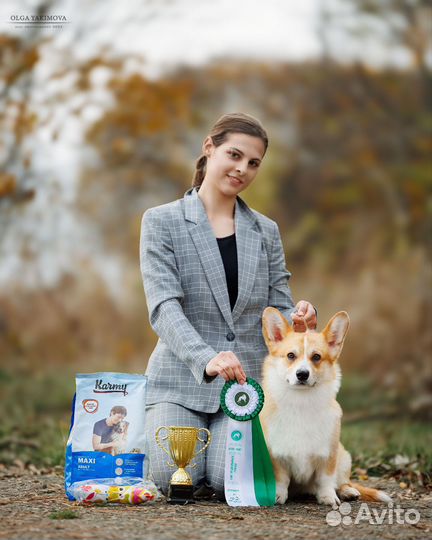 Хендлер, Кинолог, дрессировка собак с проживанием