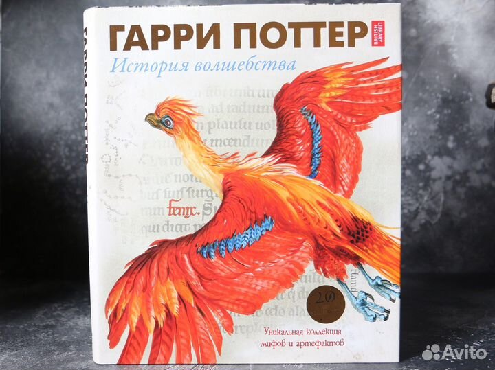 Гарри Поттер история волшебства