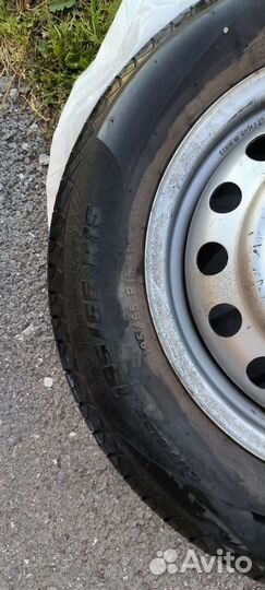 Pirelli Formula Energy 195/65 R15 91V