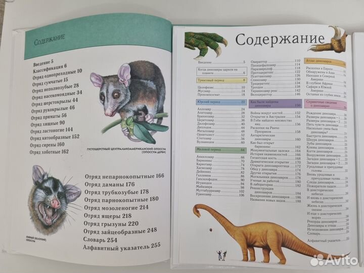 Детские книги. Энциклопедия. Динозавры. Животные