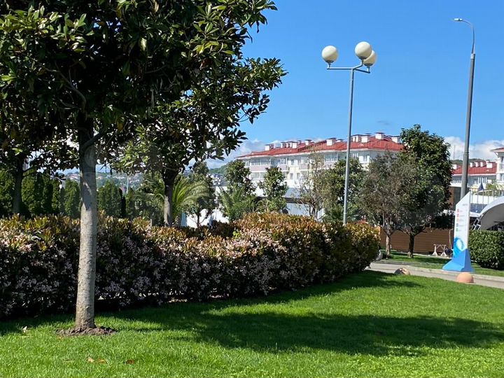 1-к. апартаменты, 34 м², 1/4 эт.