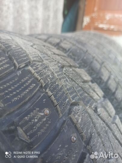 Nexen Winguard 185/55 R15