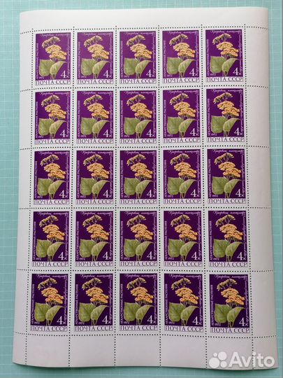 Марки. Флора. Цветы. Почта СССР. Ягоды. Лист. Блок